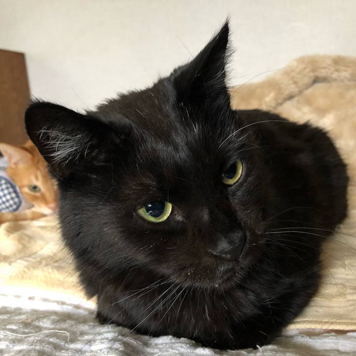 51f92f68 fc9c 4c33 9b36 125266151425 1592602037082