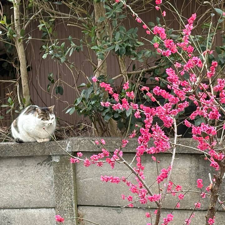 51f977a3 4c5c 4836 9de3 171303df32c1 1772418875277