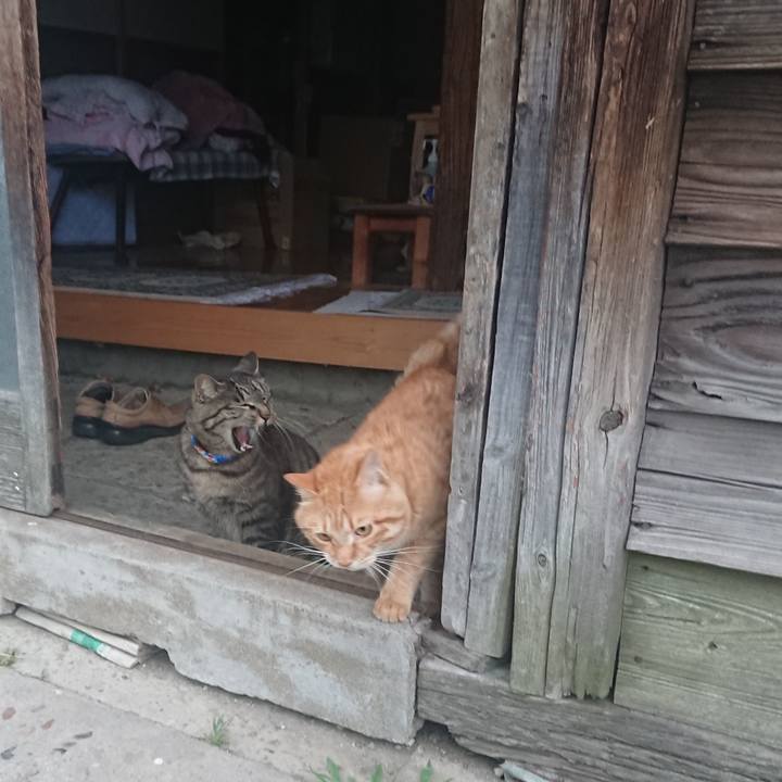 51f9afaa 4593 4523 b2e4 d7ecb8452efe 1654462773164