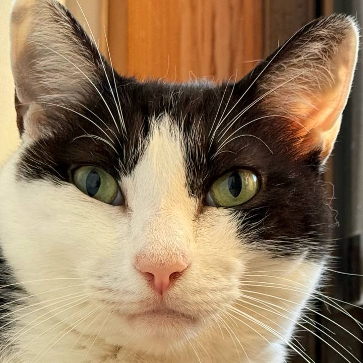 51f9bff8 c6e5 4bb0 9c35 cc8506700486 1729299785613