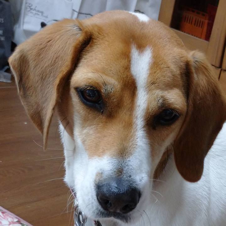 51f9e0ef 3fbe 465a 8c05 cd0f67accc03 1577584310940