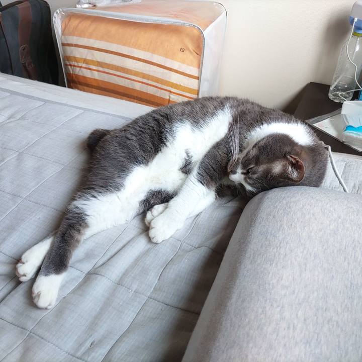 51fa19a8 df07 430b 94b6 cf24ae2dc0d8 1684713238447