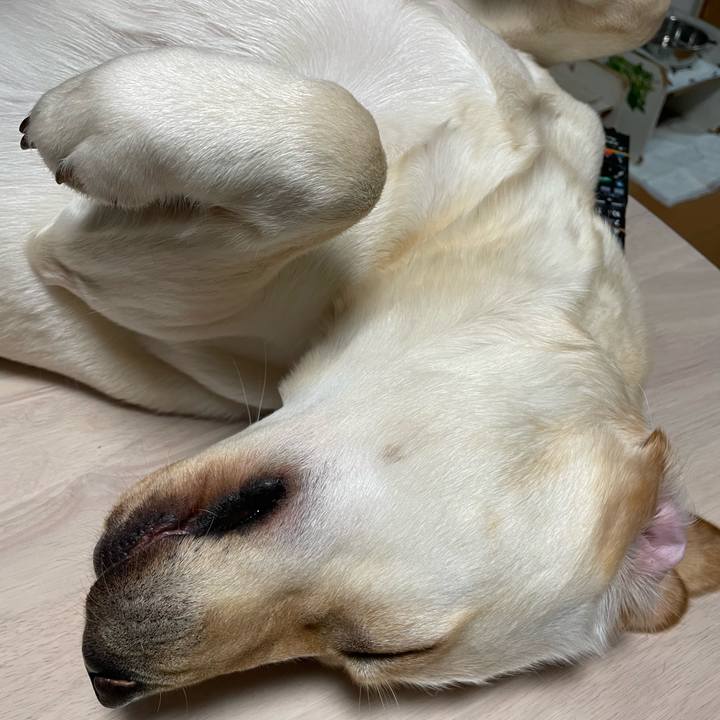 51fa34b3 bcc5 4f7f a6a5 905a8a755f7d 1653347676618