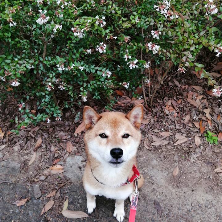 51fa4812 9917 49ec a17d f0b30f0bdcc1 1594613796223