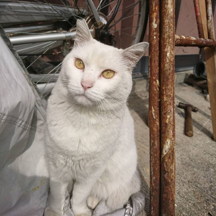 51fa7931 1f8e 4c4d 82ee f20607e23e32 1550811609452