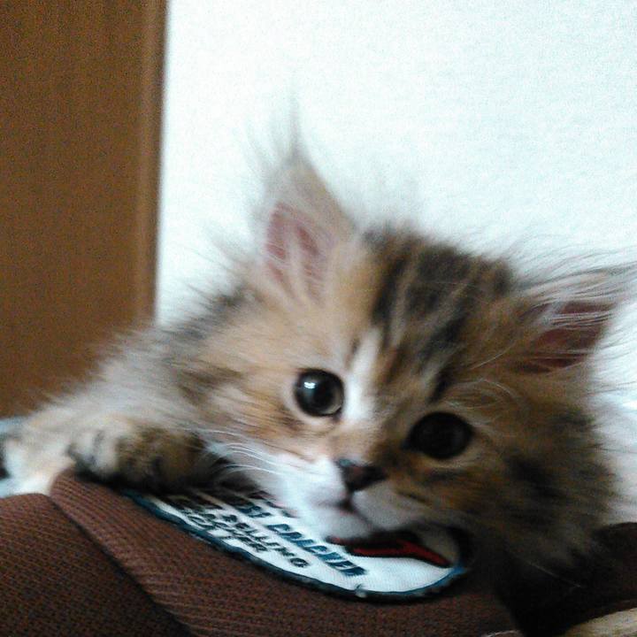 51fa86a5 be79 4e54 86f4 8b31e59408d7 1615337156626