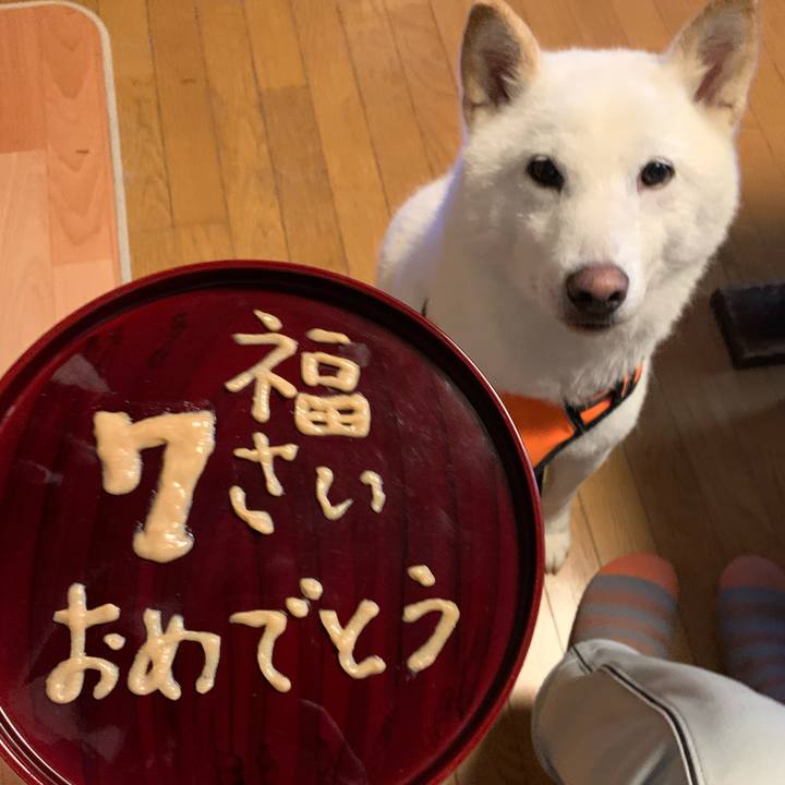 51fa8ed7 a605 4ab8 9bc0 5289f5682782 1625774829830