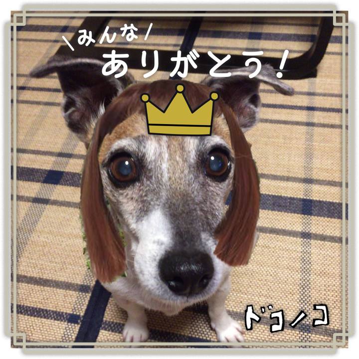 51fa9c6c 2945 4942 a83f d4dec9841421 1622944227610