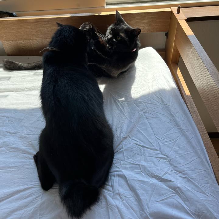 51faae4a 78d5 4ba7 add5 6c42159f434d 1683211248010