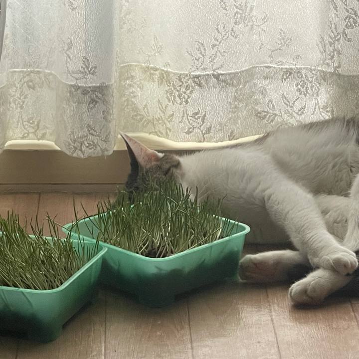 51fabcb7 2aee 48d2 b7a5 bcdccba53b96 1628463773224