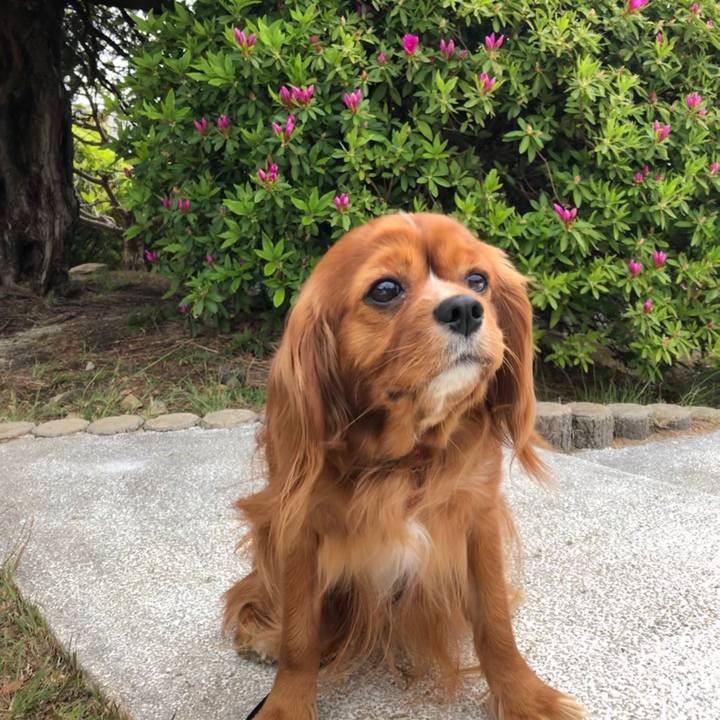 51fabe61 ef5a 4b4b a718 6d413319f66a 1587301904198