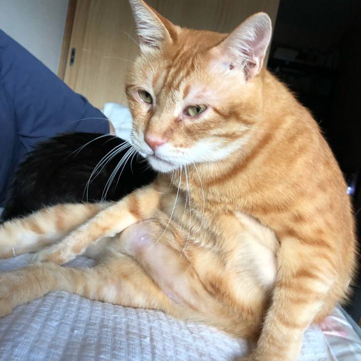 51facdb4 c585 4a17 88cc b9895bec1d2b 1600722738529