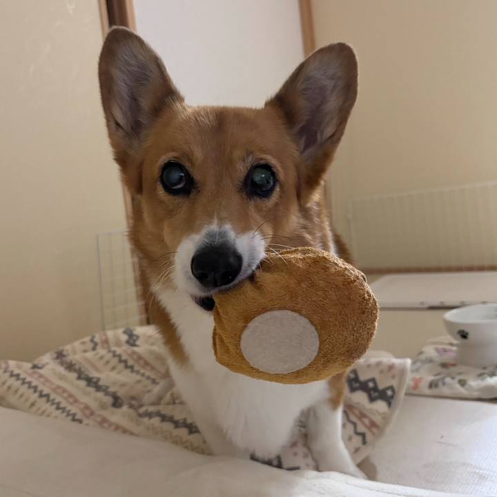 51faf71b 0d49 491b 998d c2fd7966a8c7 1773984664672