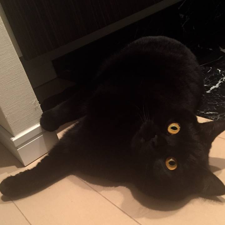 51fb007f db65 49cc 8680 f08740c6c80c 1523799423759