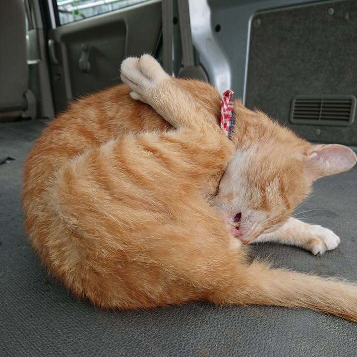 51fb0346 9d18 45fc 9ed9 86c6336228c9 1559981757388