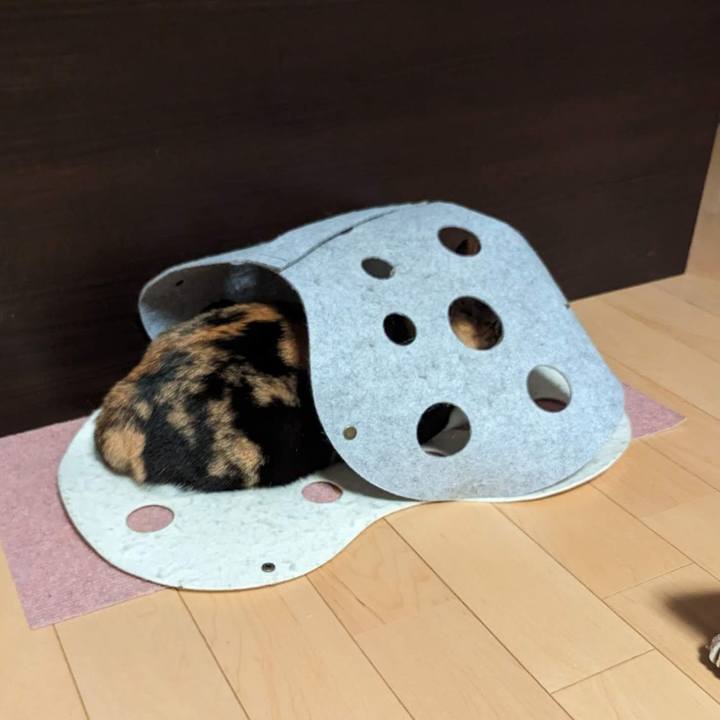 51fb1ba3 716c 4241 a39d e1da799b7041 1703323822234