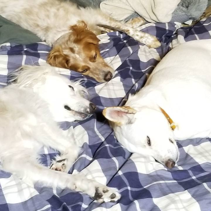 51fb2bcd 0d41 48c9 a4e0 1d3204e1d282 1610888871175