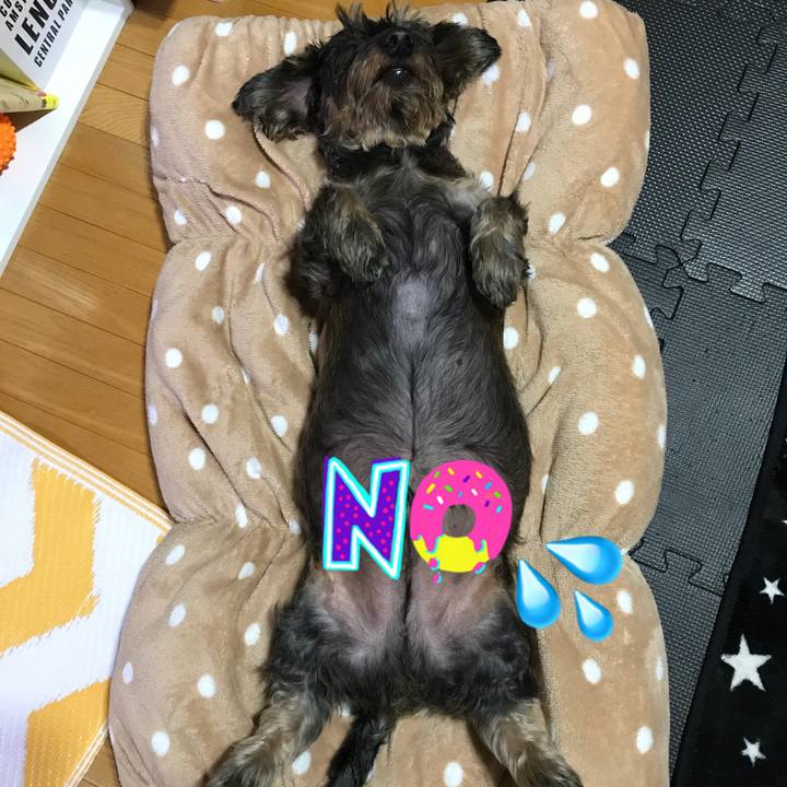 51fb3b1d 7431 4585 ae44 8337b2e43dde 1508513381443