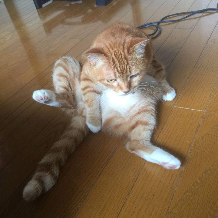 51fb6c4b 1d33 41f9 958b 9073abec3f3f 1562122086458