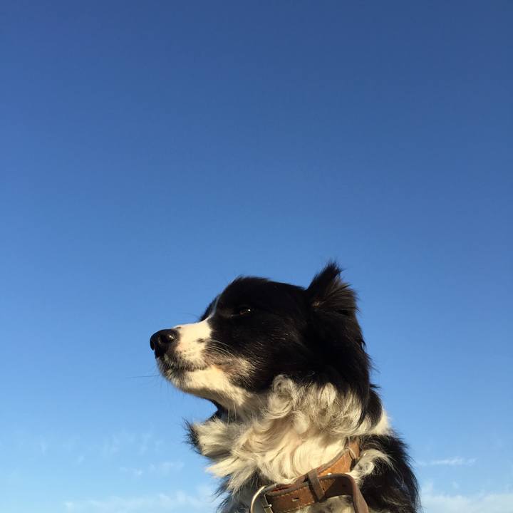 51fb8a1e 002a 4f7b bffc a78d92e8e42b 1543446551681