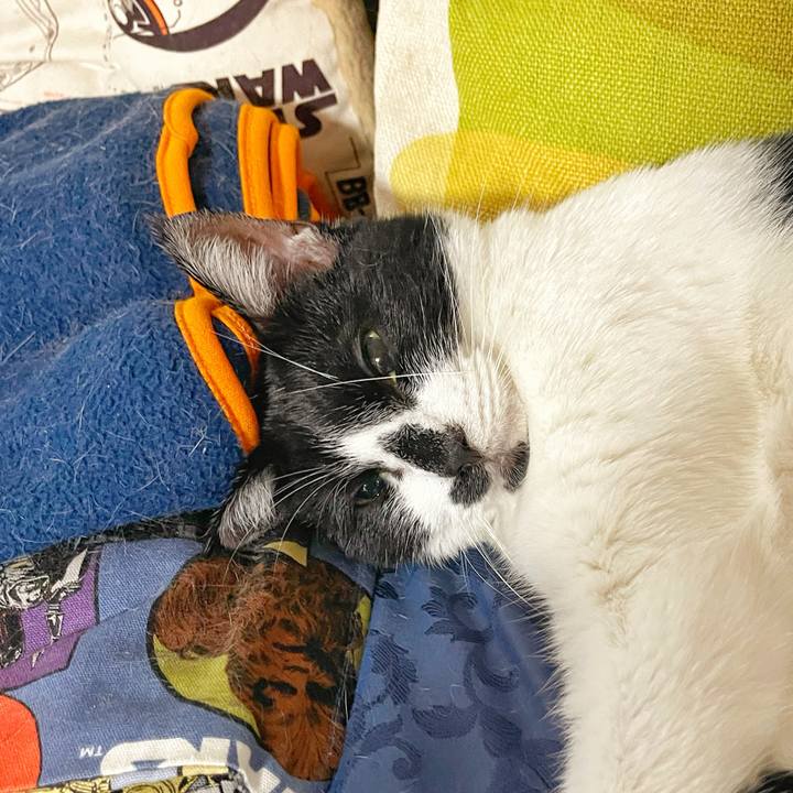 51fb9aab af5c 4725 ae45 319787d2df1b 1754881710338