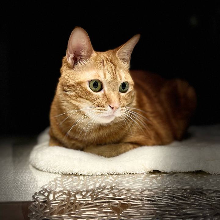 51fb9d9c a5e4 432e 98fb 73c48a5bda5b 1636067068437