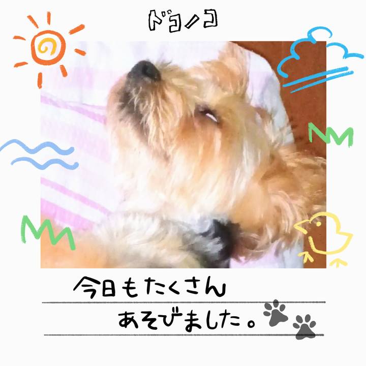 51fba6a6 5fff 4b09 9528 91e79bdc0a0c 1755059870131