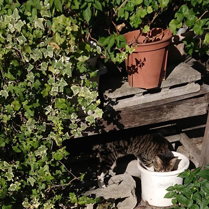 51fbd1a0 e4e1 4013 bc76 6b10bc0763d1 1605070643802