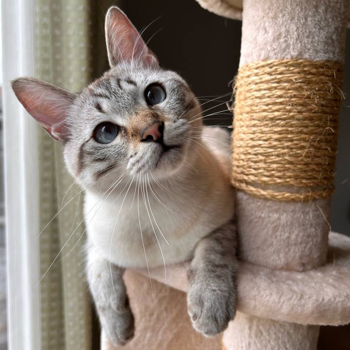 51fc0a75 575c 4704 a12a 4eb2ab5c5f51 1763034970887