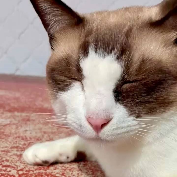 51fc2dbd 8bfe 4a19 a5a7 6ddd5de65b8a 1758508090103