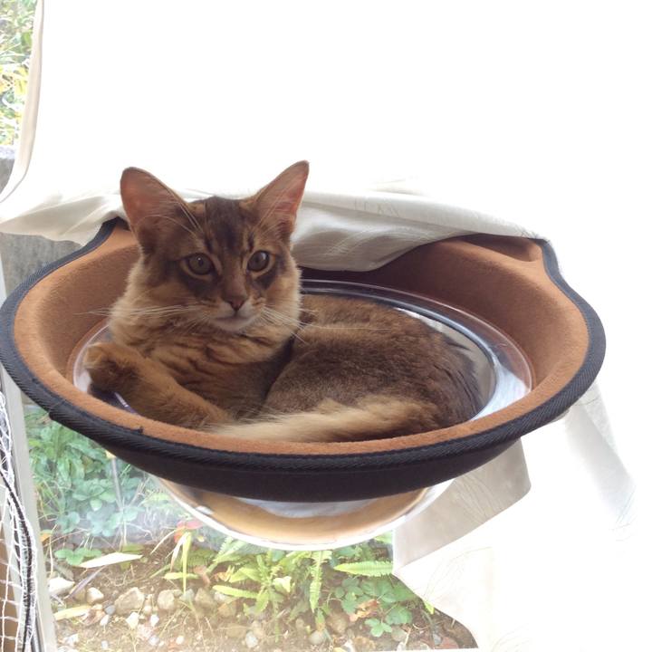 51fc4697 1d27 4604 be5a 2560e3a39698 1577533365757