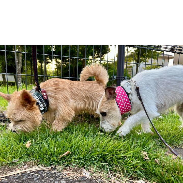 51fc47c7 0943 4e06 a6d7 dd3385f6b8a2 1754164254094