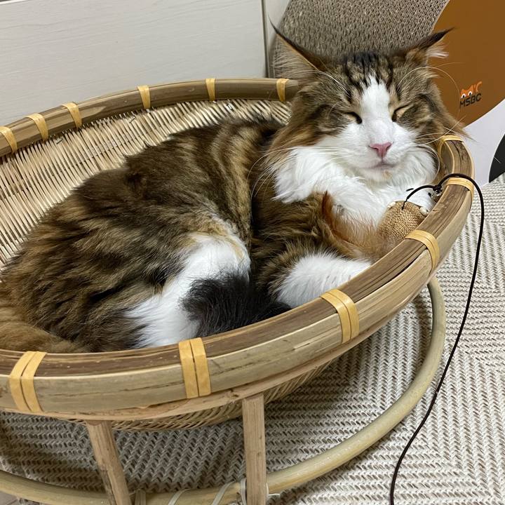 51fc4df9 03f5 43bb 8143 d038a1115b53 1665662791034