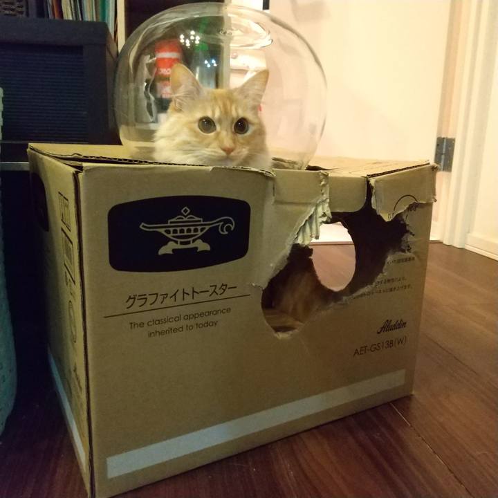 51fc69be 1709 41de 88d6 6f52336c1dcf 1644587694787