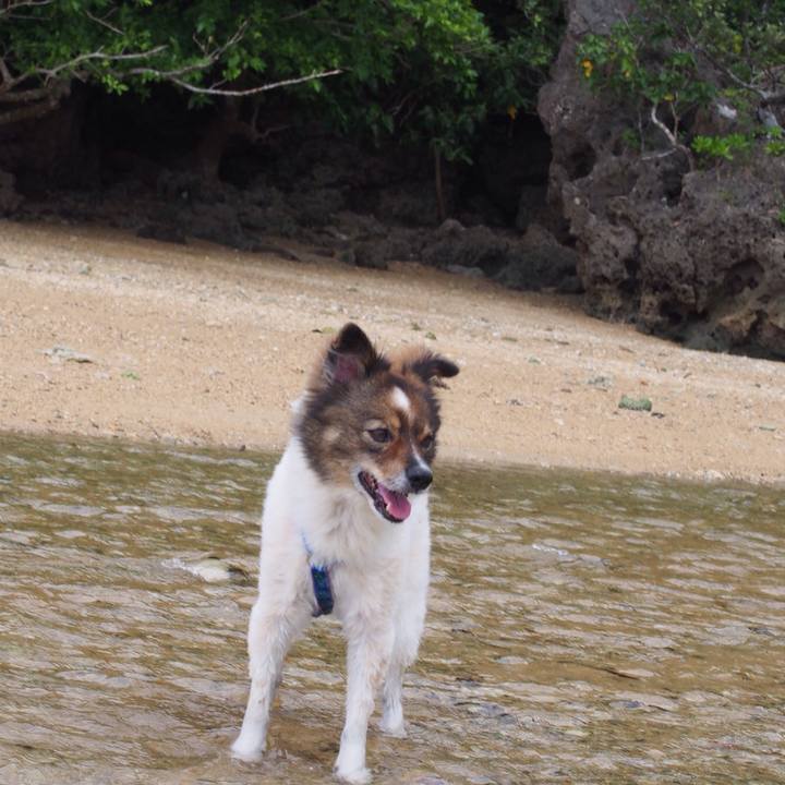 51fca066 ae32 414a bfab 873b2e4b7027 1535006783364