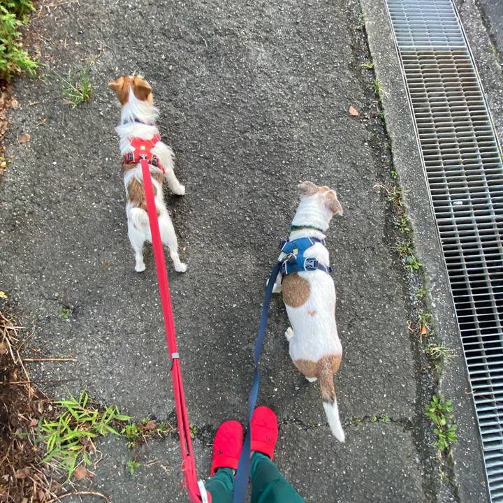 51fcb6fb 076d 4e76 8d66 69005fad9575 1664141191745