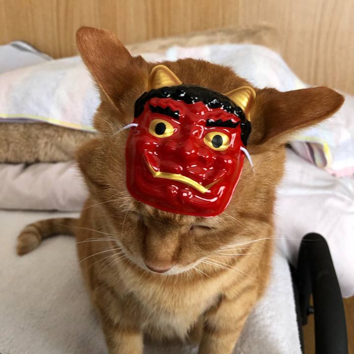 51fce77f 7a38 430c b139 dee74df0d020 1612074774497