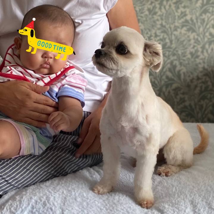 51fd265f a8bc 4b4a 812e 822018018791 1628421637620