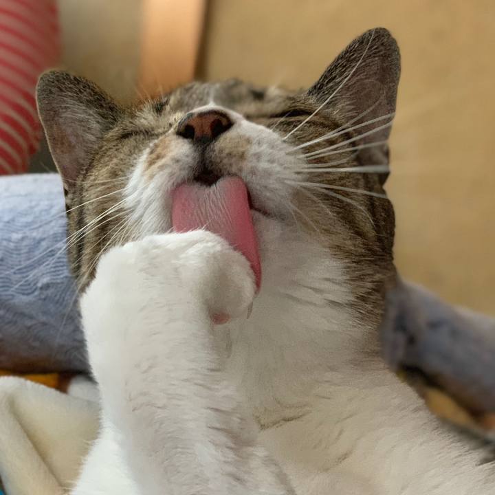 51fd377e 6c1a 4b33 8295 a3419508b913 1569631495287