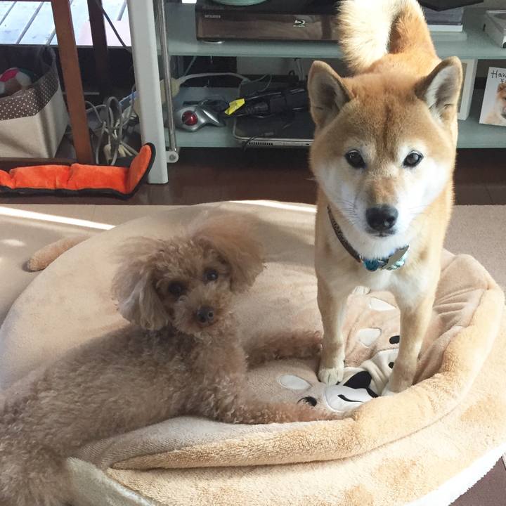 51fd3d98 b191 4252 b801 dd5d5444f7b5 1510204629799