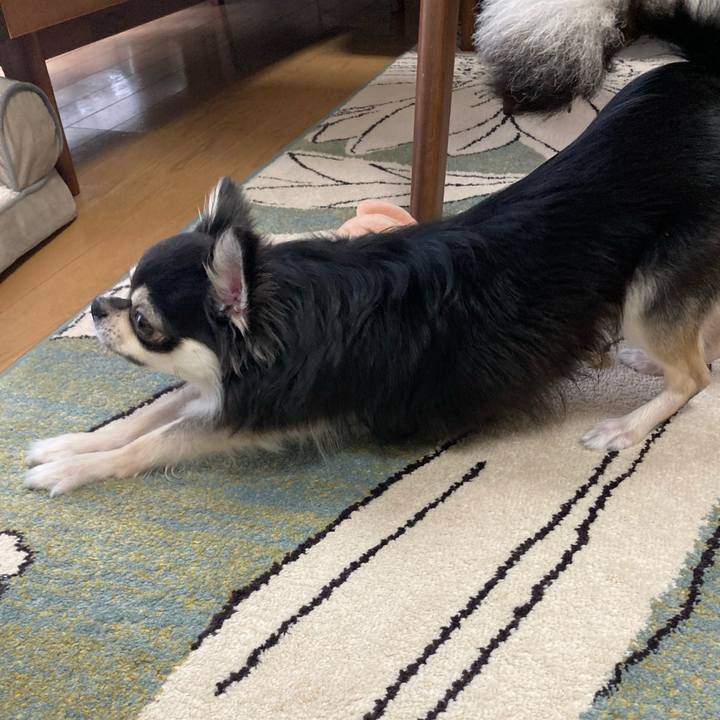 51fd546f 9792 4820 9d29 cabcc410a027 1624075060114