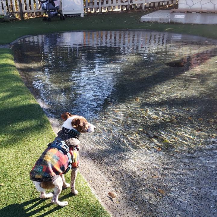 51fd59bf 0983 4c3c a6ca f8e1176024f9 1733653605021