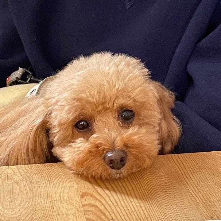 51fd5e1f af29 4625 85a3 1cfdb1c83578 1772676723247