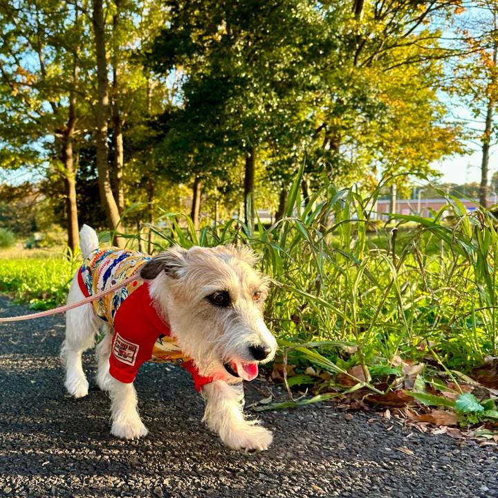 51fd85c0 99ee 4db2 b756 5c5a55e05191 1700651031810