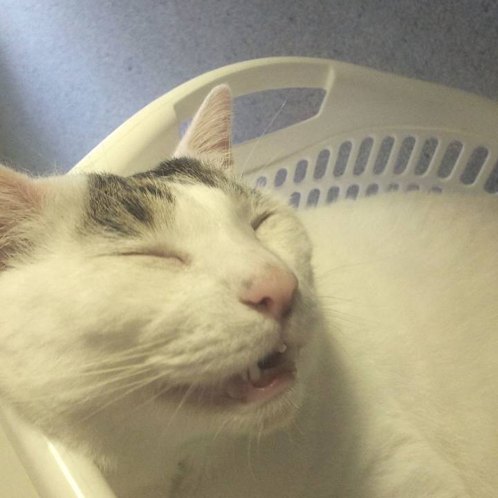 51fddba6 9550 4b05 9696 9c1b21221257 1565130140431