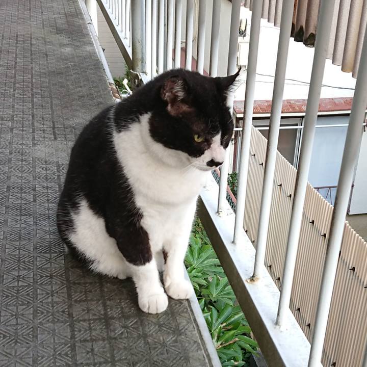 51fe1558 66ae 4cae b758 35aff12493b0 1661205319916