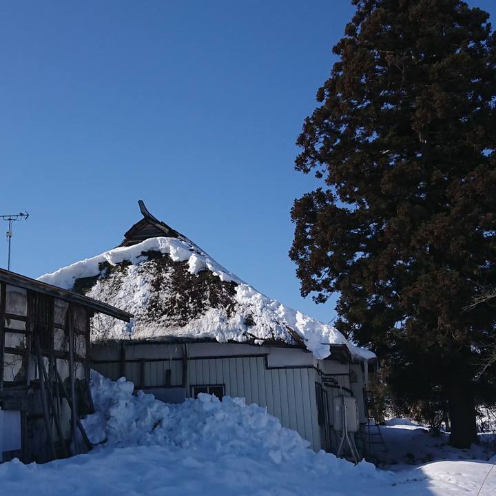 51fe2401 c028 4f7d 9947 46e8d400ff2b 1641784503011