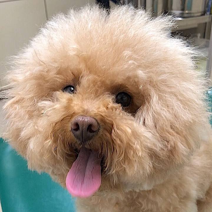 51fea75d de82 4f43 9093 2594585ed09a 1526270754902