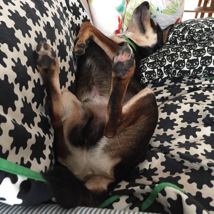 51feb6ca 8a7e 4573 b348 a8e266137371 1542780468042