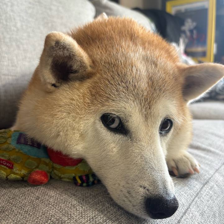 51fec6d4 fa03 4f00 9683 d3ecd9bf428f 1751748735171